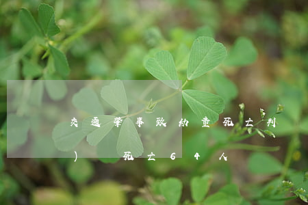 交通肇事致幼童死亡判決(幼兒園車(chē)禍死亡64人)