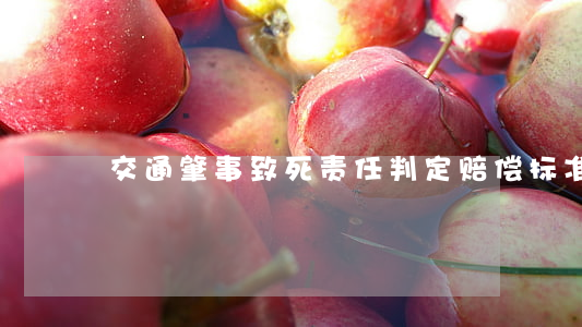 交通肇事致死责任判定赔偿标准