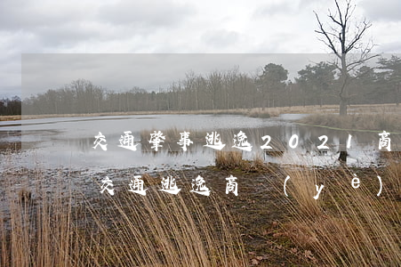 交通肇事逃逸2021商業(yè)險賠償(交通逃逸商業(yè)險是否賠付)