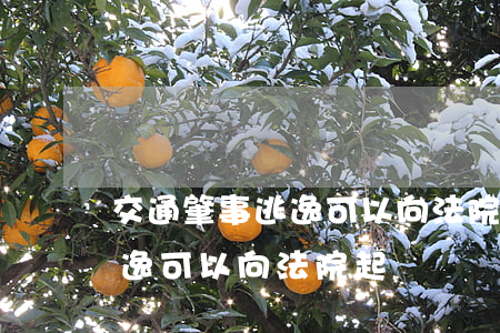 交通肇事逃逸可以向法院起訴嗎(交通肇事逃逸可以向法院起訴嗎)