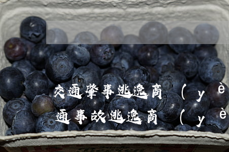 交通肇事逃逸商業(yè)險賠償判決書(交通事故逃逸商業(yè)三者險賠付案例)