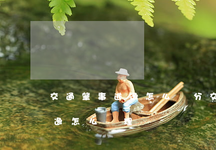 交通肇事逃逸怎么處分(交通事故肇事司機逃逸怎么處理)