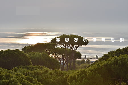 交通肇事逃逸的法律后果嚴(yán)重嗎