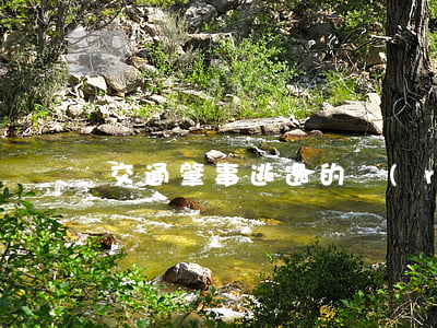 交通肇事逃逸的認(rèn)定