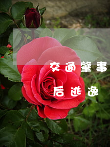 交通肇事逃逸續(xù)集(交通肇事罪肇事后逃逸)