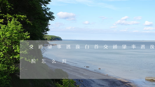 交通肇事逃逸自首(交通肇事逃逸自首諒解法院怎么判)