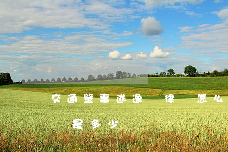 交通肇事逃逸請律師怎么收費(肇事逃逸律師費是多少)