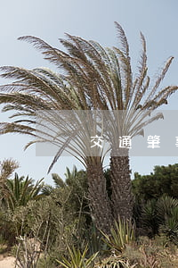 交通肇事逃逸认定标准是怎样的