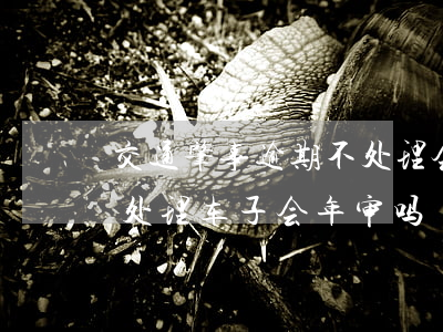 交通肇事逾期不处理会有什么后果-肇事不处理车子会年审吗