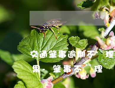 交通肇事逾期不處理會(huì)有什么后果-肇事不處理車子會(huì)年審嗎