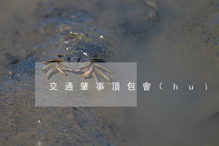 交通肇事頂包會(huì)被判刑處罰嗎
