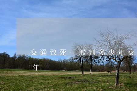 交通致死一般判多少年(交通致死一般判多少年)