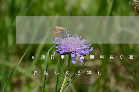 交通行用卡逾期利息 交通銀行逾期利息太高 要起訴交通銀行