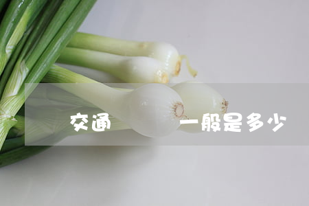 交通訴訟費一般是多少錢(交通案件訴訟費收費標準)