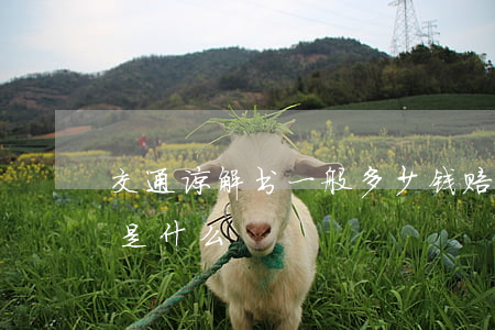 交通谅解书一般多少钱赔偿(交通事故谅解书是什么)