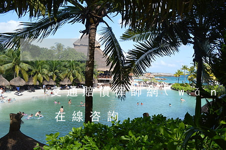 交通賠償律師網(wǎng)(交通事故律師在線咨詢)