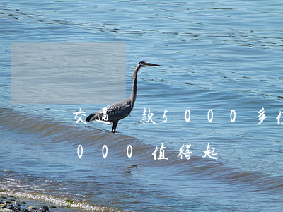 交通賠款5000多值得起訴嗎(交通事故5000值得起訴嗎)
