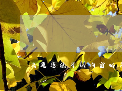 交通违法可以拘留吗(交警能不能拘留人)
