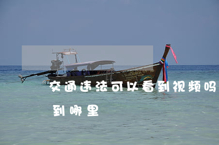 交通违法可以看到视频吗(交通违法视频上传到哪里)