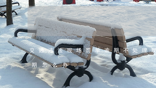 交通违法现场罚单逾期不处理(现场处罚单逾期怎么办)