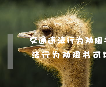 交通违法行为劝阻书可以异地处理吗(交通违法行为劝阻书可以不处理吗)