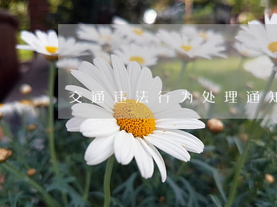交通违法行为处理通知书适用情形