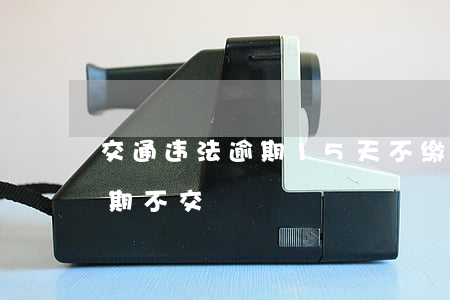 交通违法逾期15天不缴纳罚款(交通罚款逾期不交)