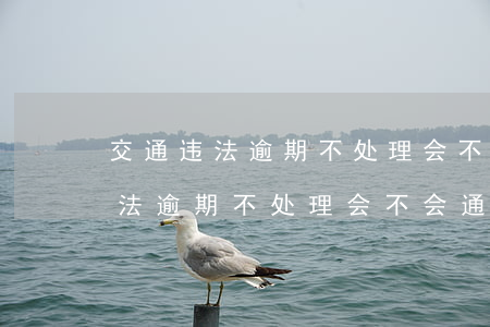 交通违法逾期不处理会不会通缉的-交通违法逾期不处理会不会通缉的影响