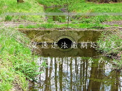 交通违法逾期处理是怎么处罚的(交通违法处理逾期了怎么办)