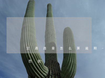 交通违章怎么算逾期-交通违章怎么算逾期罚款