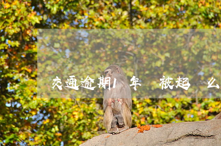 交通逾期1年會被起訴么(逾期一年會被起訴嗎)