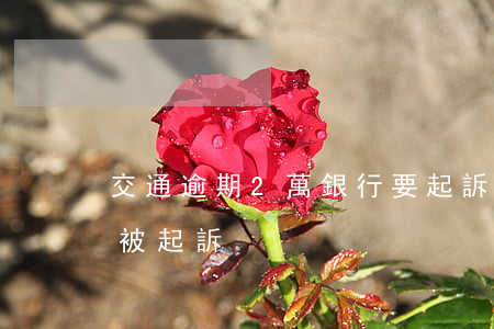 交通逾期2萬銀行要起訴我（交通銀行卡逾期被起訴）