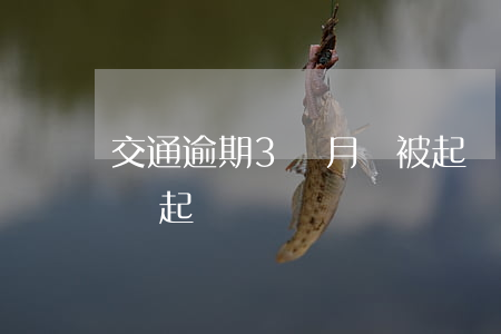 交通逾期3個月會被起訴嗎（逾期3個月會不會起訴）