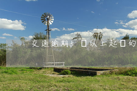 交通逾期5萬以上起訴的人多嗎-