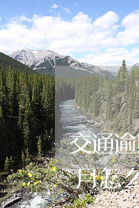 交通逾期7萬有還款 車貸逾期七個(gè)月怎么還款