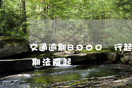 交通逾期8000銀行起訴（交通銀行房貸逾期法院起訴）