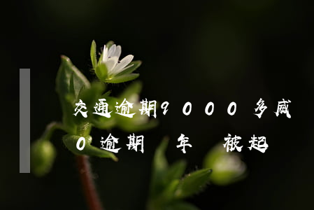 交通逾期9000多威脅要起訴(交通3000逾期兩年會被起訴嗎)
