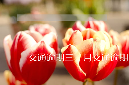 交通逾期三個月(交通逾期三個月)