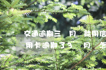 交通逾期三個月還能用信用卡嗎-好幾張信用卡逾期了3個月會怎么樣