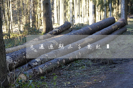 交通逾期三千要起訴