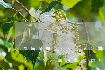 交通逾期協(xié)商還款(交通逾期協(xié)商還款成功!但每期賬單都在賬利息)