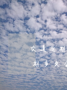 交通逾期多久会打电话给身边的人-交通逾期多久会打电话给身边的人呢