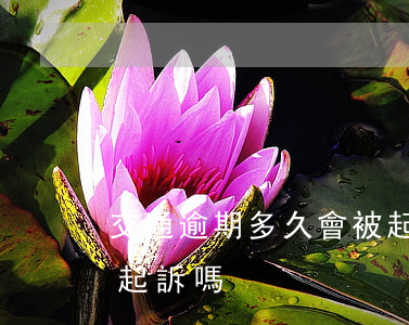 交通逾期多久會被起訴 交通逾期3個月會被起訴嗎
