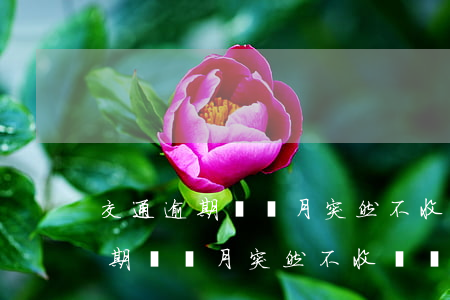 交通逾期幾個月突然不收滯納金了-交通逾期幾個月突然不收滯納金了怎么辦