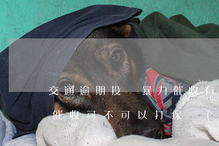交通逾期投訴暴力催收有用嗎(交通銀行暴力催收可不可以打保監(jiān)局投訴)