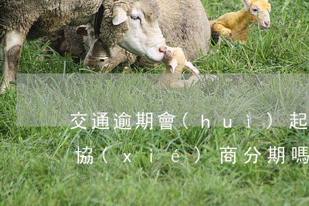 交通逾期會(huì)起訴么(交通逾期可以協(xié)商分期嗎)