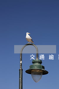 交通逾期說起訴了(逾期被起訴了)
