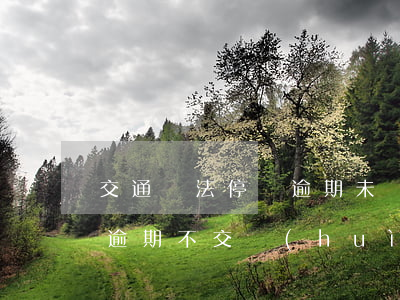 交通違法停車逾期未繳納罰款 違章停車罰款逾期不交會(huì)怎么樣