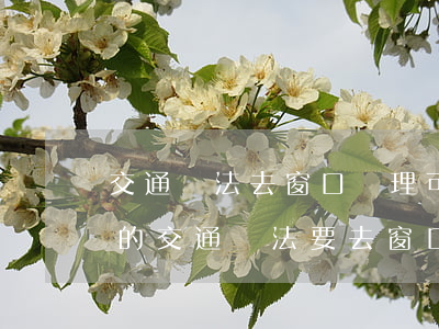 交通違法去窗口處理可以是別人嗎(為什么有的交通違法要去窗口處理)