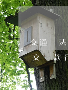 交通違法可以只扣分不罰款嗎(違章只扣分不交罰款行嗎)